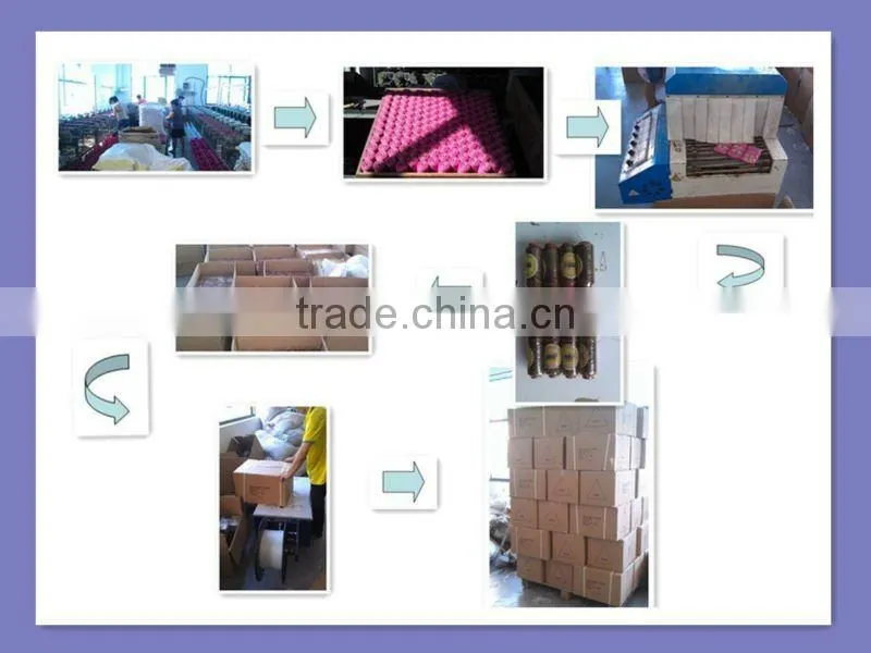 Royal Cotton Embroidery Thread