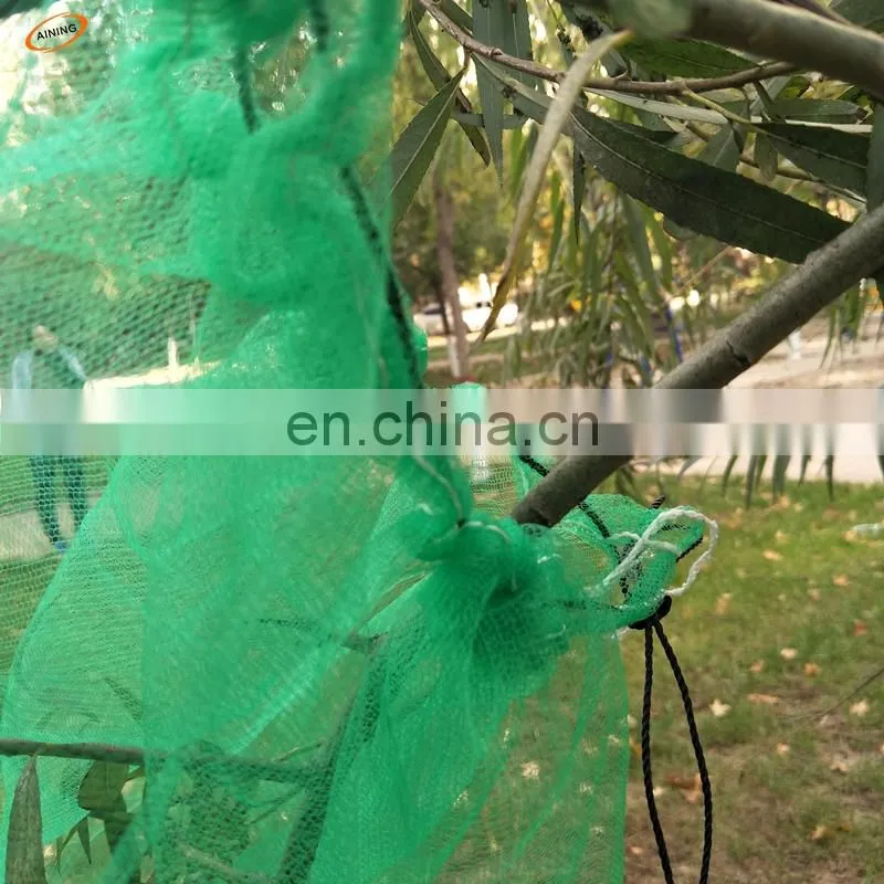 HDPE monifilament date palm mesh bag for date protection