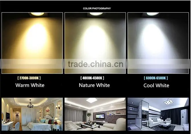 NEW DESIGN HIGHT BRIGHTNESS 20W LED TRUNK LIGHT
