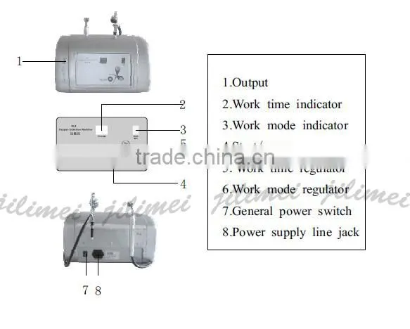 GL6 professional 2 in 1 oxygen therapy facial machine/oxygen facial machine home use