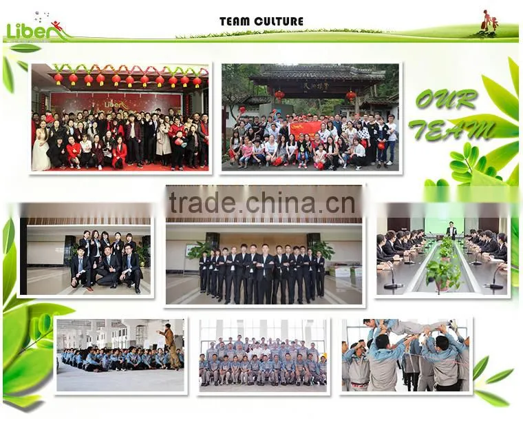 European standard durable high quality trampoline park