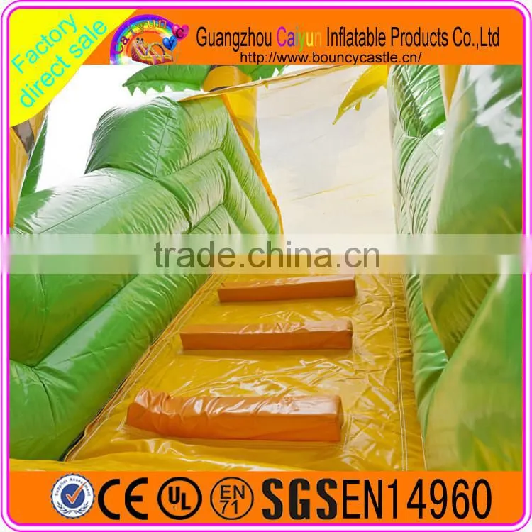 Professional supplier giant inflatable slide, giant inflatable dry slide, inflatable jumping slide