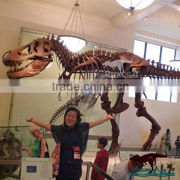 Life-Size Dinosaur Skeleton