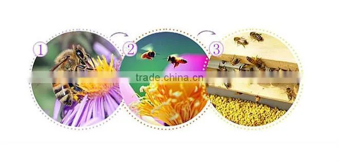 The Best Tea Pollen for health food