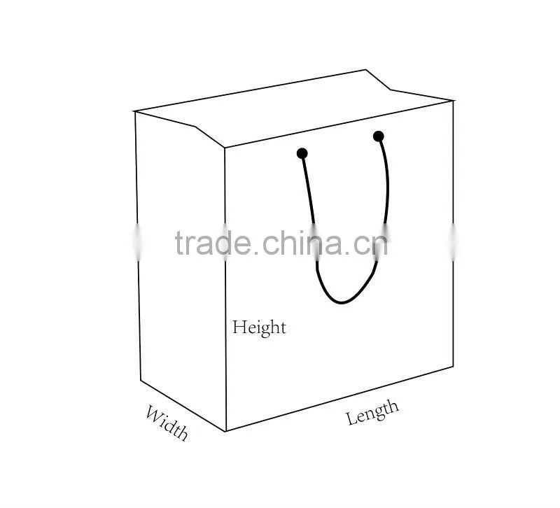 Foiled Clothes Packing Paper Bags with Glossy Lamination
