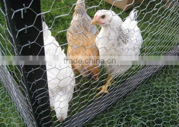 3''Hexagonal galvanized Wire Mesh