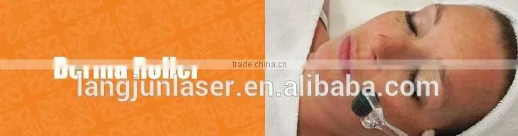 Microneedle dermaroller/ 540 needles derma roller/ titanium needle dermaroller