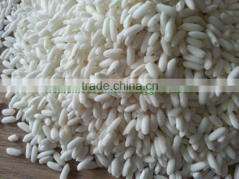 VIETNAM GLUTINOUS RICE/STICKY RICE 5%/10% BROKEN-LONG AN ORIGIN