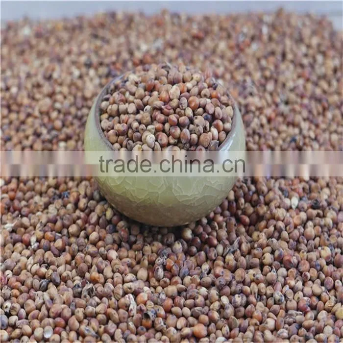 Natural Glutinous Red Sorghum price