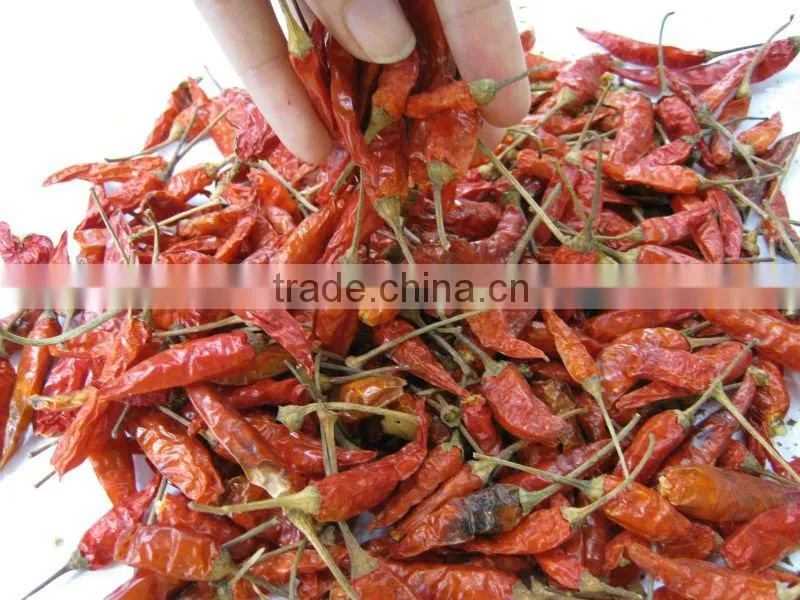 DRIED RED CHILLI