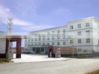 Shandong Pangda Condiment & Food Co., Ltd. company overview - view 1