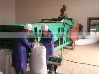 Tianjin Jinghai Changsheng Foodstuffs Co., Ltd. company overview - view 3