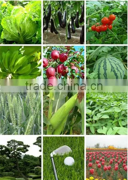 Ammonium Sulphate HBIS