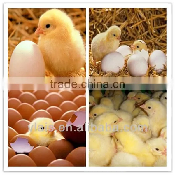 Safety automatic 110-240V 50-60hz chicken machine egg incubator V-8448