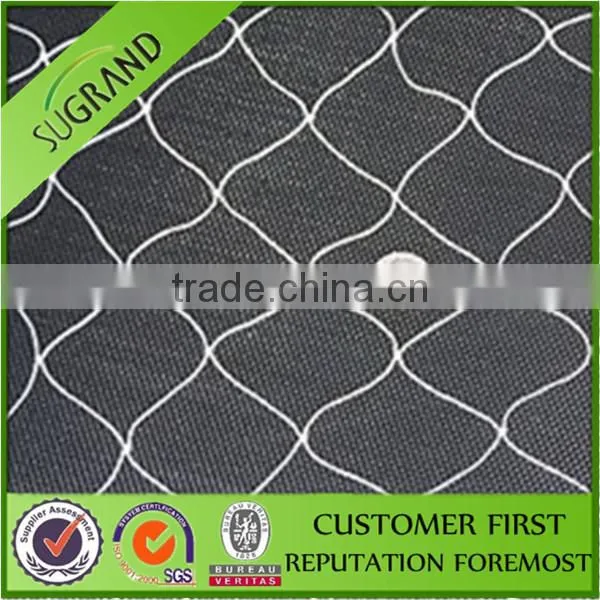 Agriculture Plastic Bird Net Orchard Bird Netting