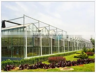 Large Size and Multi-Span Agricultural Greenhouses commercial glass greenhouse