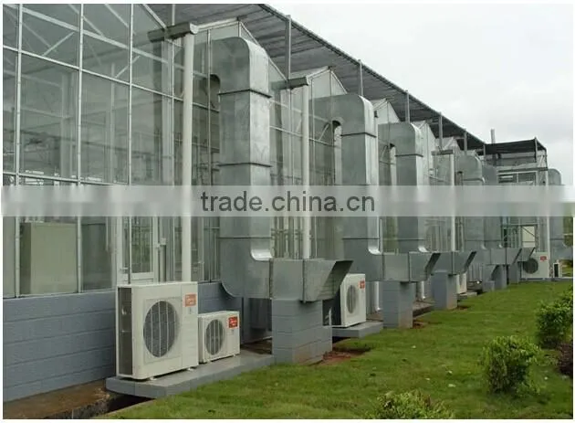 Film arch greenhouse for sale from big greenhouse manufacturer in China