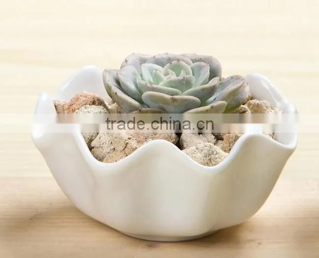 Creative zakka white ceramic indoor planters for succulents