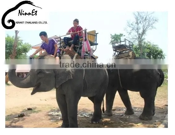 Wood Carved Elephant from Thailand