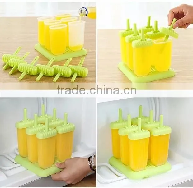 6pcs Set Pop Lolly PP Plastic Popsicle Ice Mold Factory Wholesale