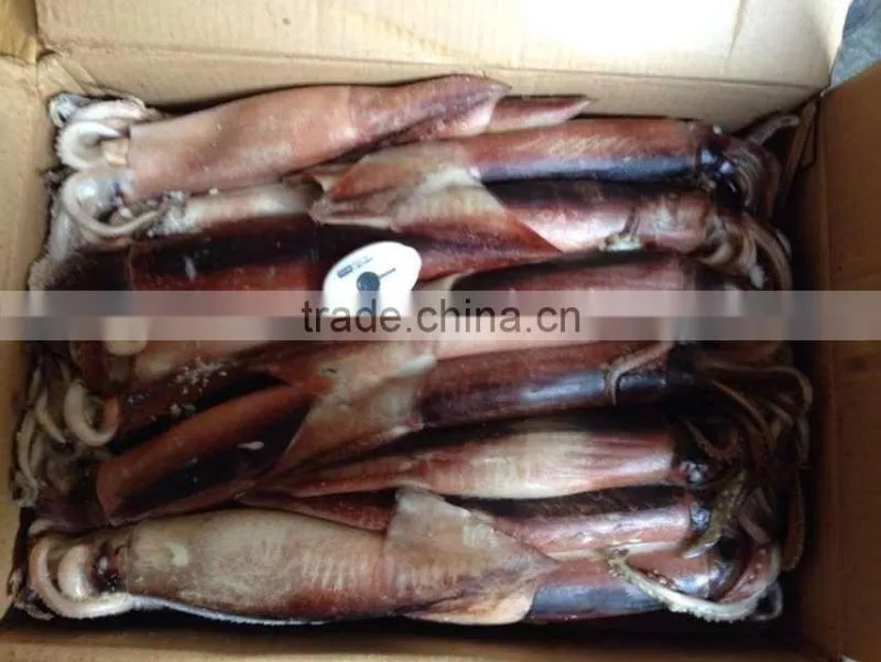 white board of japanese squid