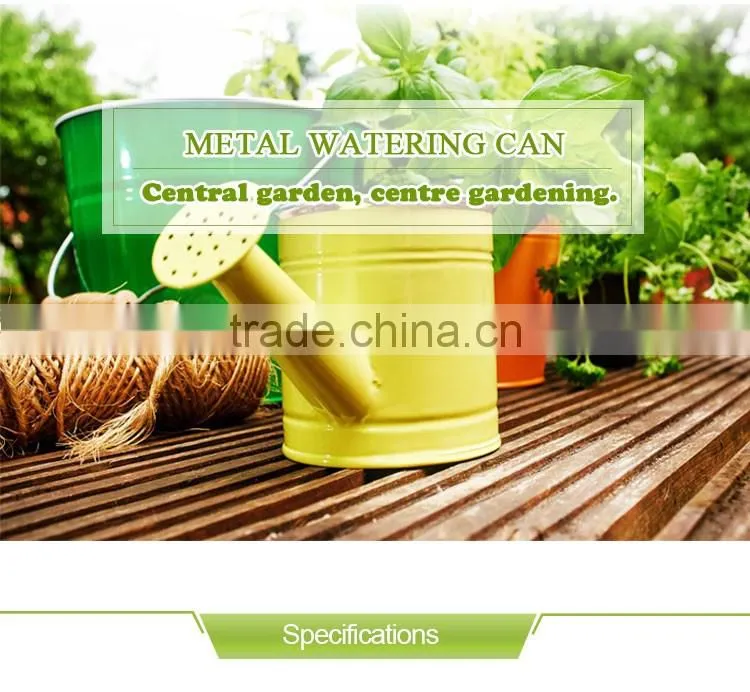 Garden Metal Watering Can Wholesale With Stainless Steel Handle