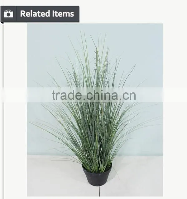 Home decoration species potted grass wide blade grass artificial onion grass for appeciation