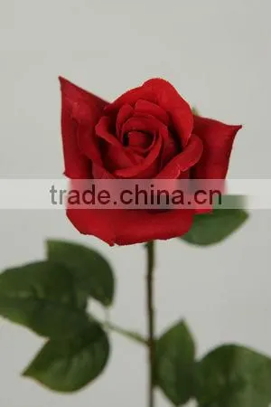 27019BN long stem snapdragon decoration