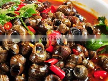 Clam shell and meat separator processing line/machine