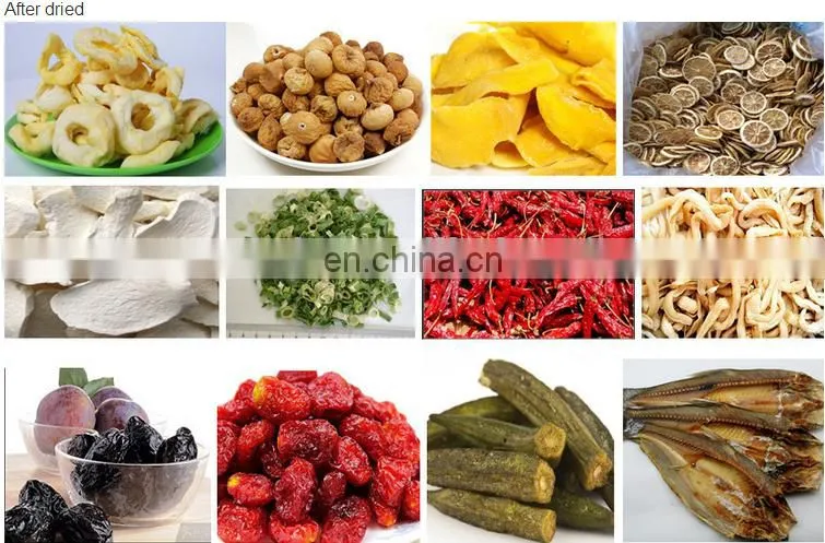Industrial/commercial tunnel mango microwave dryer/drying machine/dehydrator
