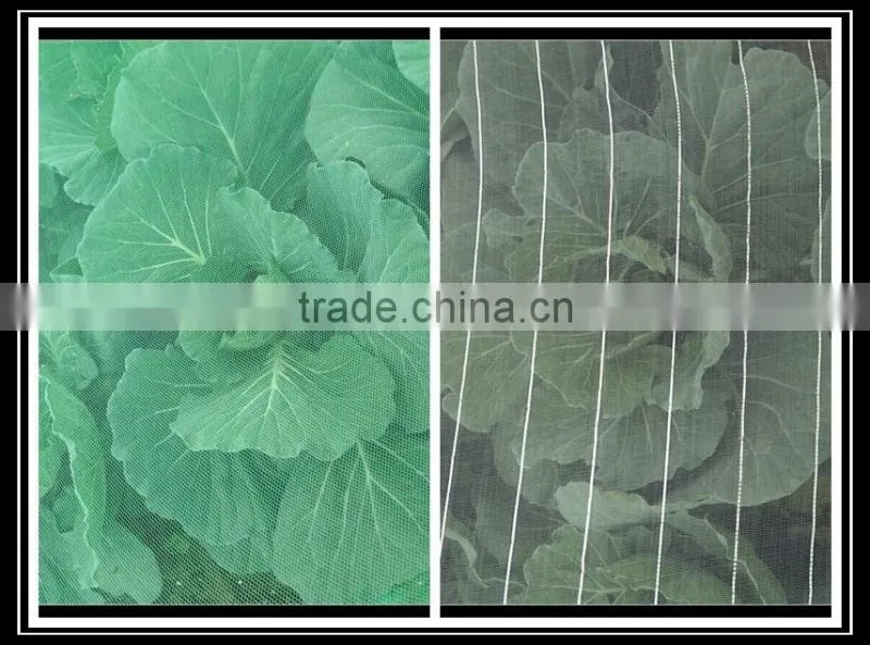 China factory wholesale plastic anti hail and insect net mesh plant covers