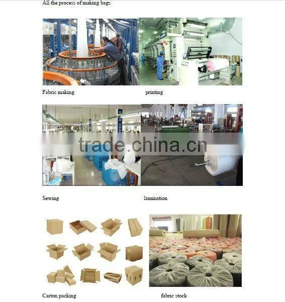 cooler bag for frozen food