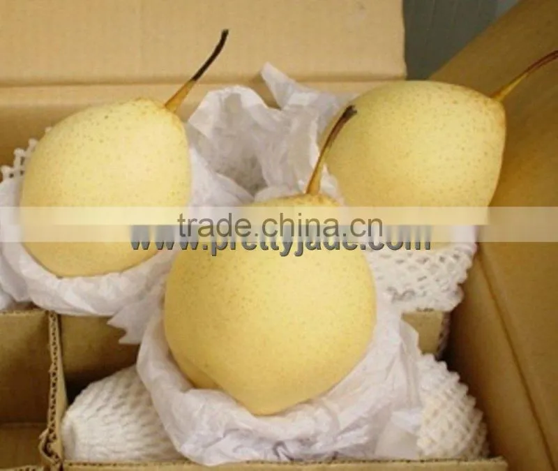 2013 Chinese fresh Ya pear
