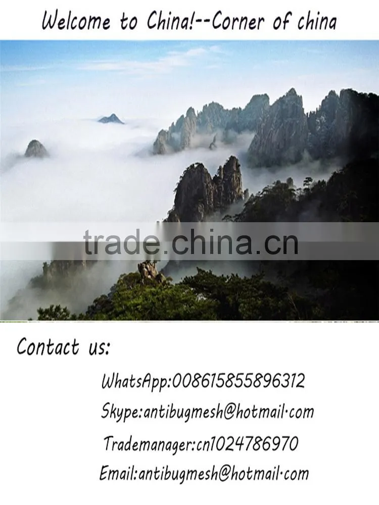 Magic Anti Insect Screen Door Curtain