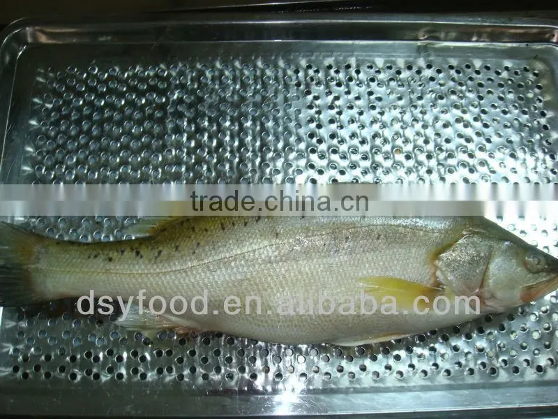 Wholesale Frozen Seabass Fillets
