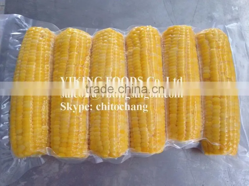 FROZEN BOILED CORN GOOD QUALITY FROM VIETNAM