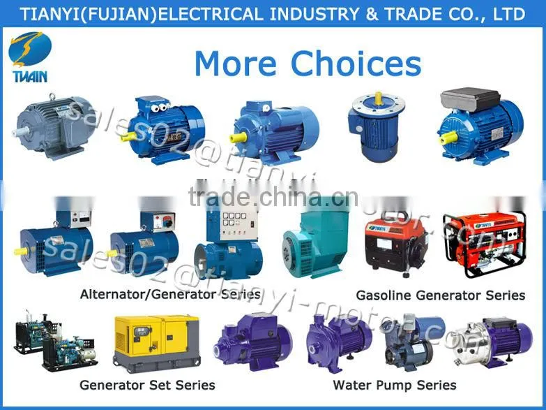 Most Sellable Y Induction Motor 100% Delivery On Time Rate