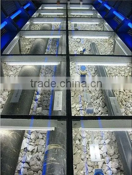 toughened laminated glass ceiling