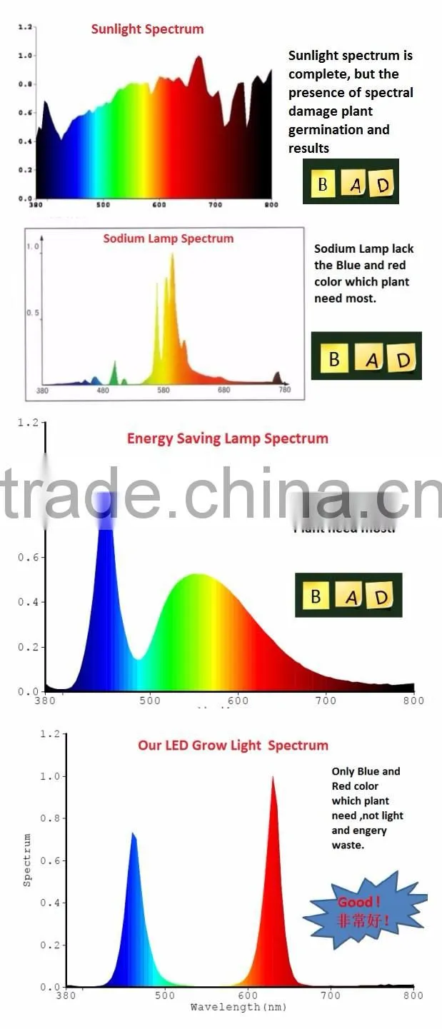 Shenzhen Factory Growing Lights LED 3w LED Grow Light for Growing
