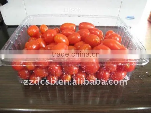 PET clear plastic frozen food tray