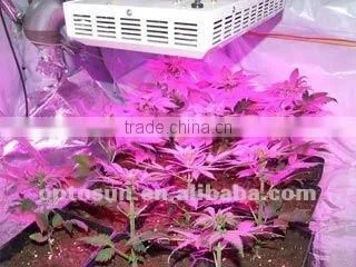 2012 best led grow light 300w for all plants