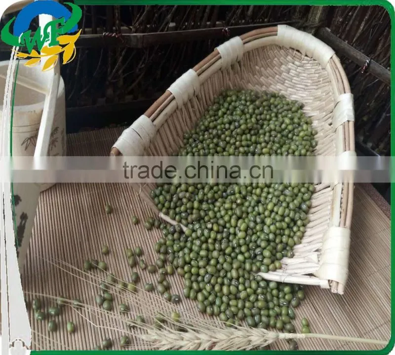 High quality organic Green mung beans for sale