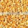 Corn Starch High Quality