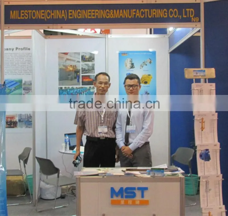 Heavy Duty Industry Mining hydraulic gear pump