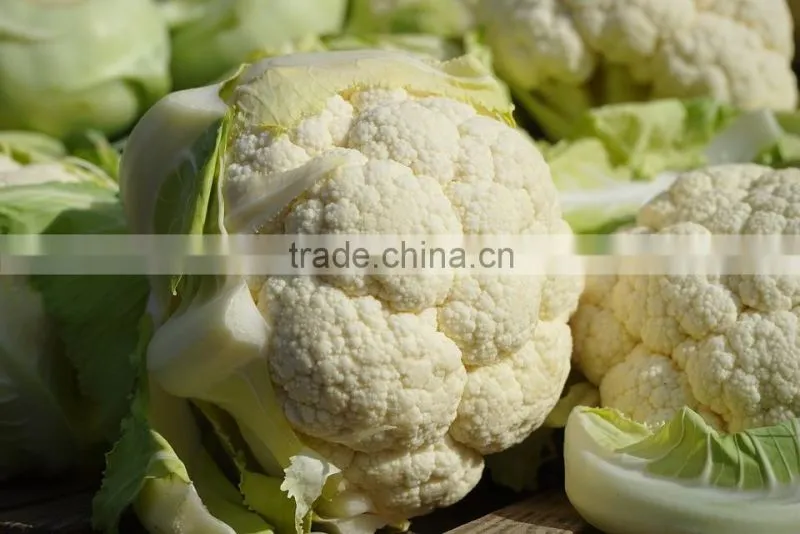 2015 Bulk New crop Chinese Frozen Cauliflower