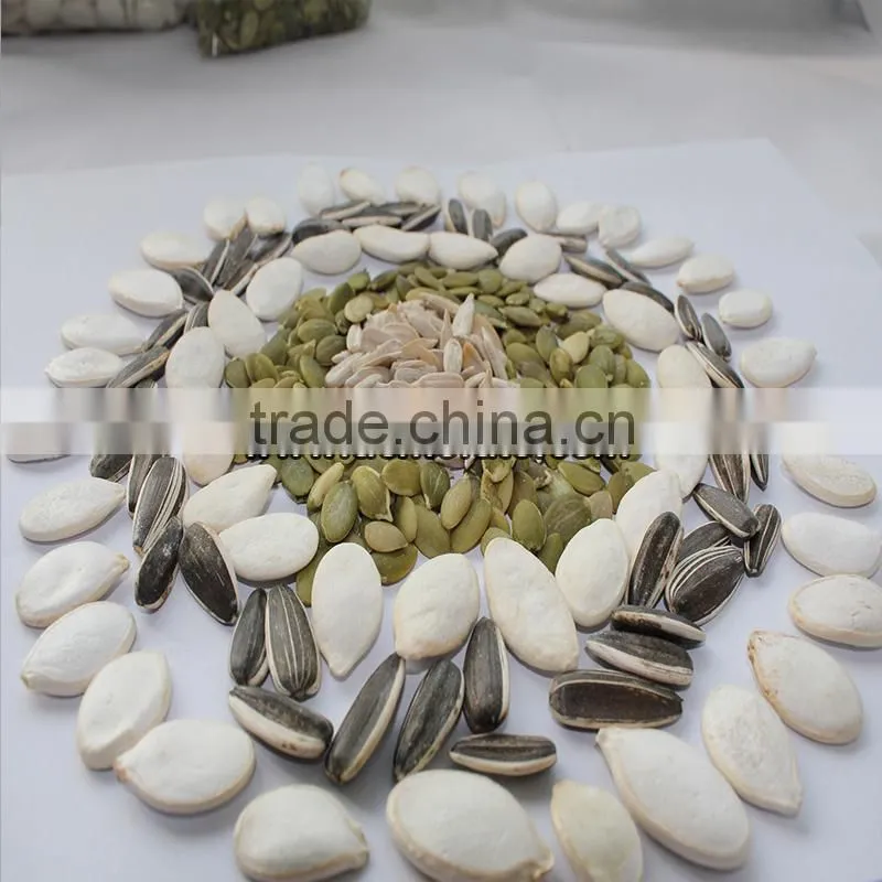 Grade A Snacks Black Watermelon Seed