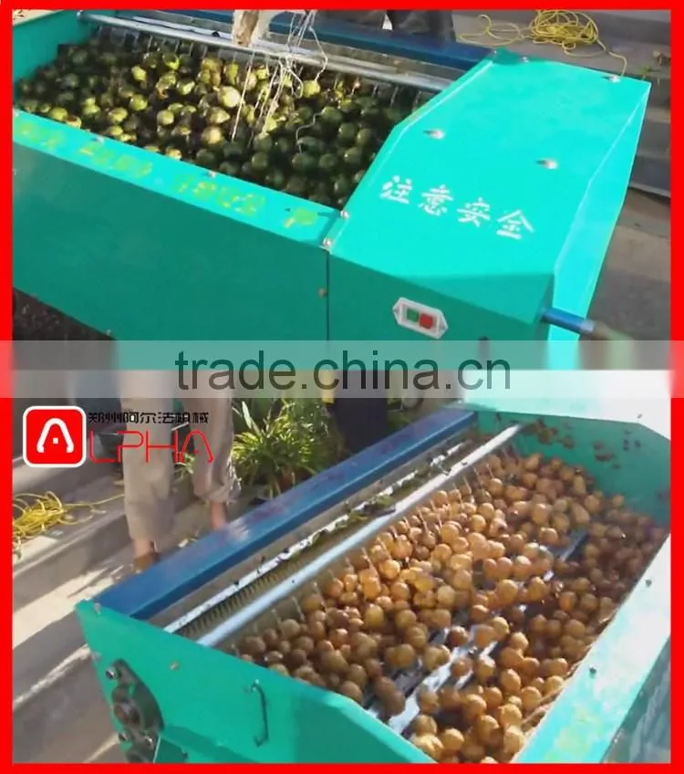 CHEAP PRICE AUTOMATIC walnut shell breaking machine/walnut peeling