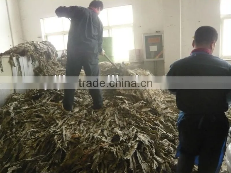 Liquid chitosan bio fungicide foliar spray organic fertilizer for agriculture