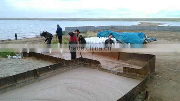 China Artemia cysts for Sale