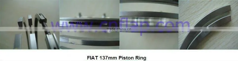 Piston water pump for parts 2200904